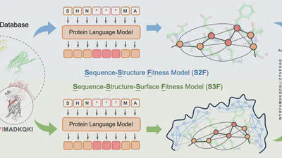 Multi-Scale Representation Learning for Protein Fitness Prediction featured image